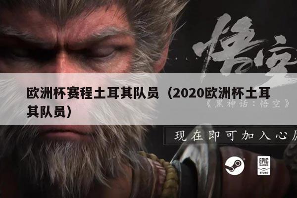 欧洲杯赛程土耳其队员（2020欧洲杯土耳其队员）