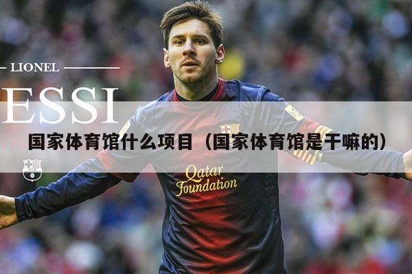 国家体育馆什么项目(国家体育馆是干嘛的)