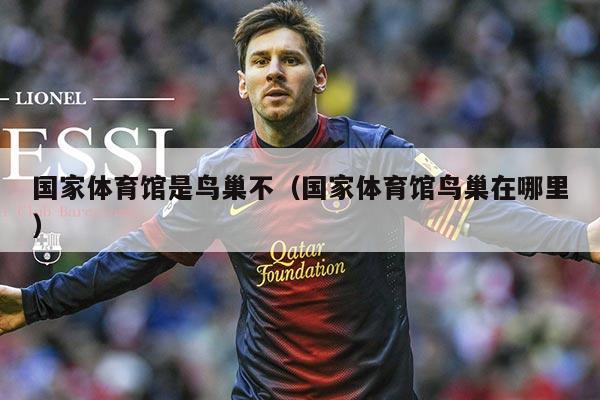国家体育馆是鸟巢不（国家体育馆鸟巢在哪里）