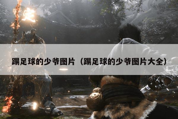 踢足球的少爷图片（踢足球的少爷图片大全）