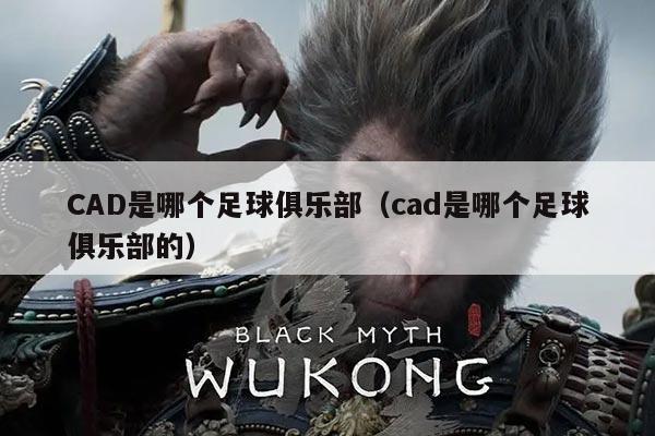 CAD是哪个足球俱乐部（cad是哪个足球俱乐部的）