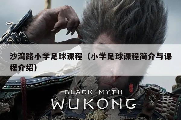 沙湾路小学足球课程（小学足球课程简介与课程介绍）