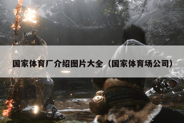 国家体育厂介绍图片大全（国家体育场公司）